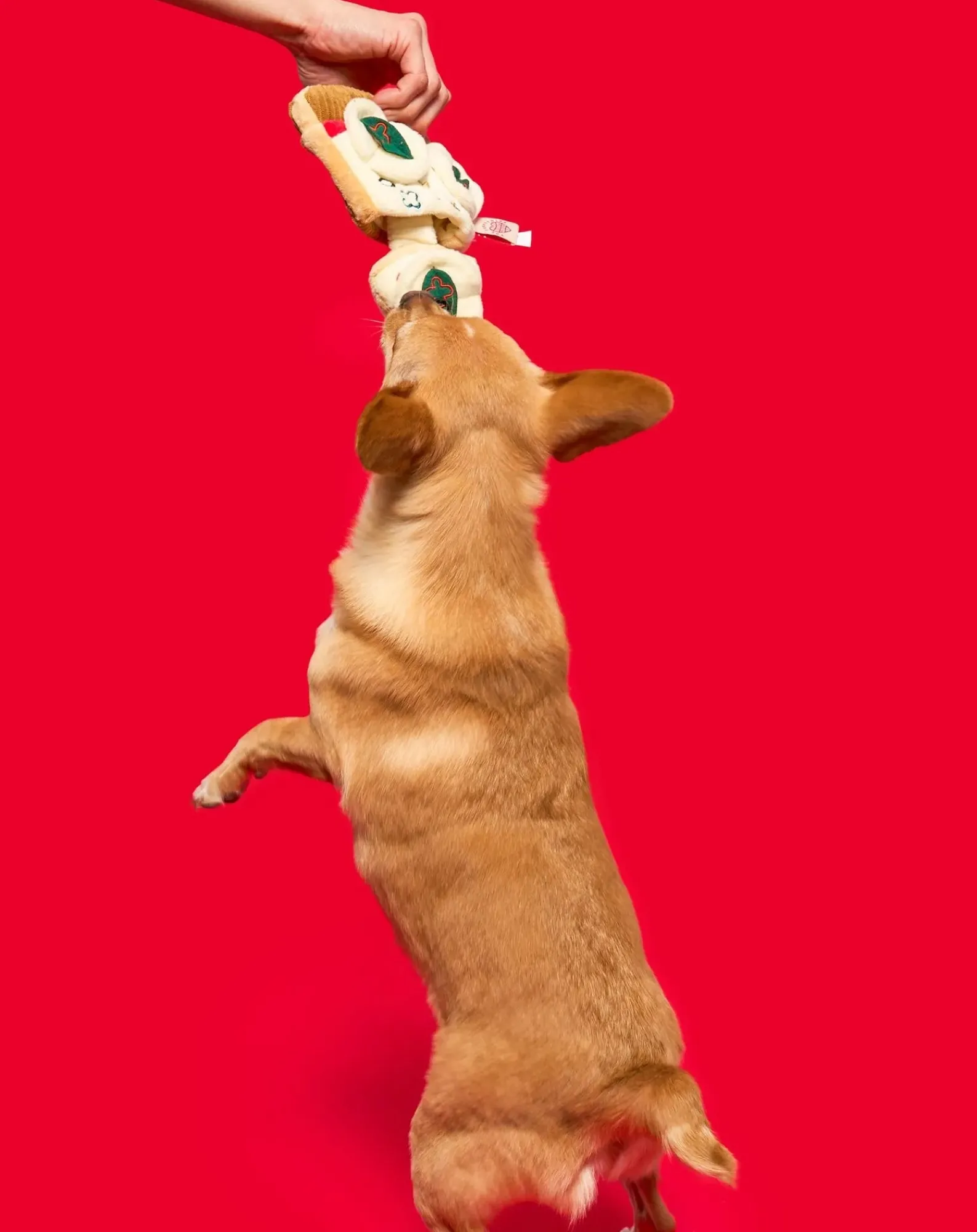The Furry Folks Accessoires Animaux-Pizza Digging Toy Multicolore