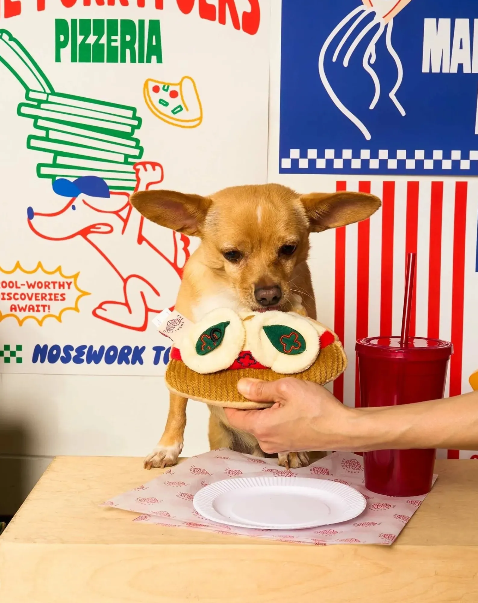The Furry Folks Accessoires Animaux-Pizza Digging Toy Multicolore