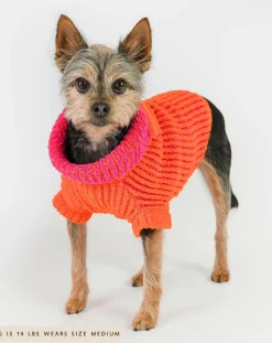 The Furry Folks Accessoires Animaux-Pull Rib Orange