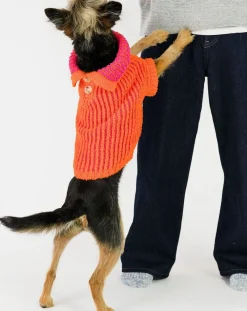 The Furry Folks Accessoires Animaux-Pull Rib Orange