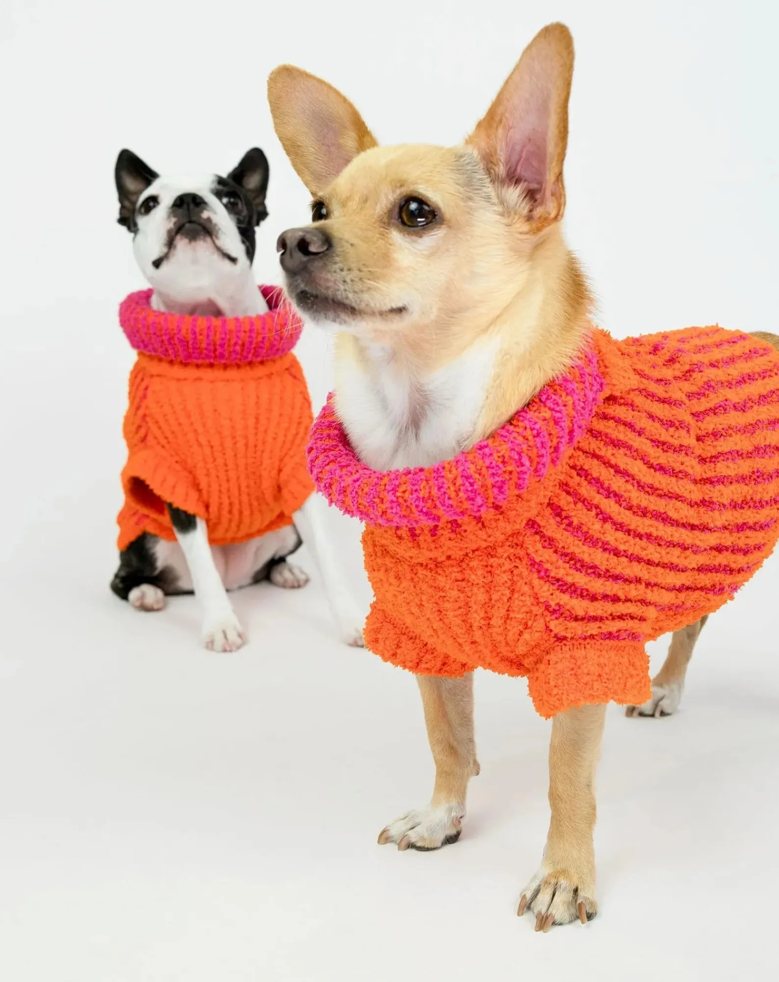 The Furry Folks Accessoires Animaux-Pull Rib Orange