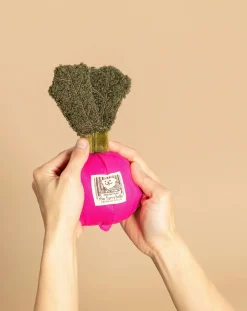 The Furry Folks Accessoires Animaux-Radish digging toy Rose