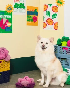 The Furry Folks Accessoires Animaux-Red Cabbage digging toy Rose