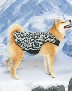 The Furry Folks Accessoires Animaux-Reversible down jacket Noir