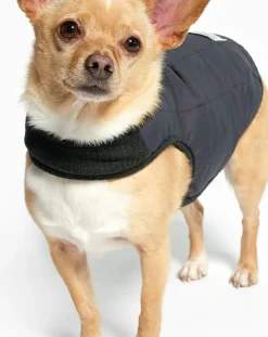 The Furry Folks Accessoires Animaux-Reversible down jacket Noir