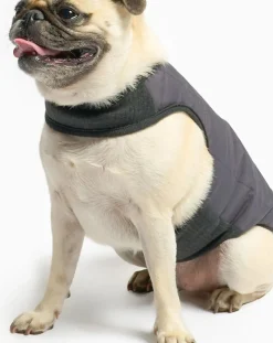 The Furry Folks Accessoires Animaux-Reversible down jacket Noir