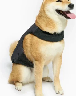 The Furry Folks Accessoires Animaux-Reversible down jacket Noir