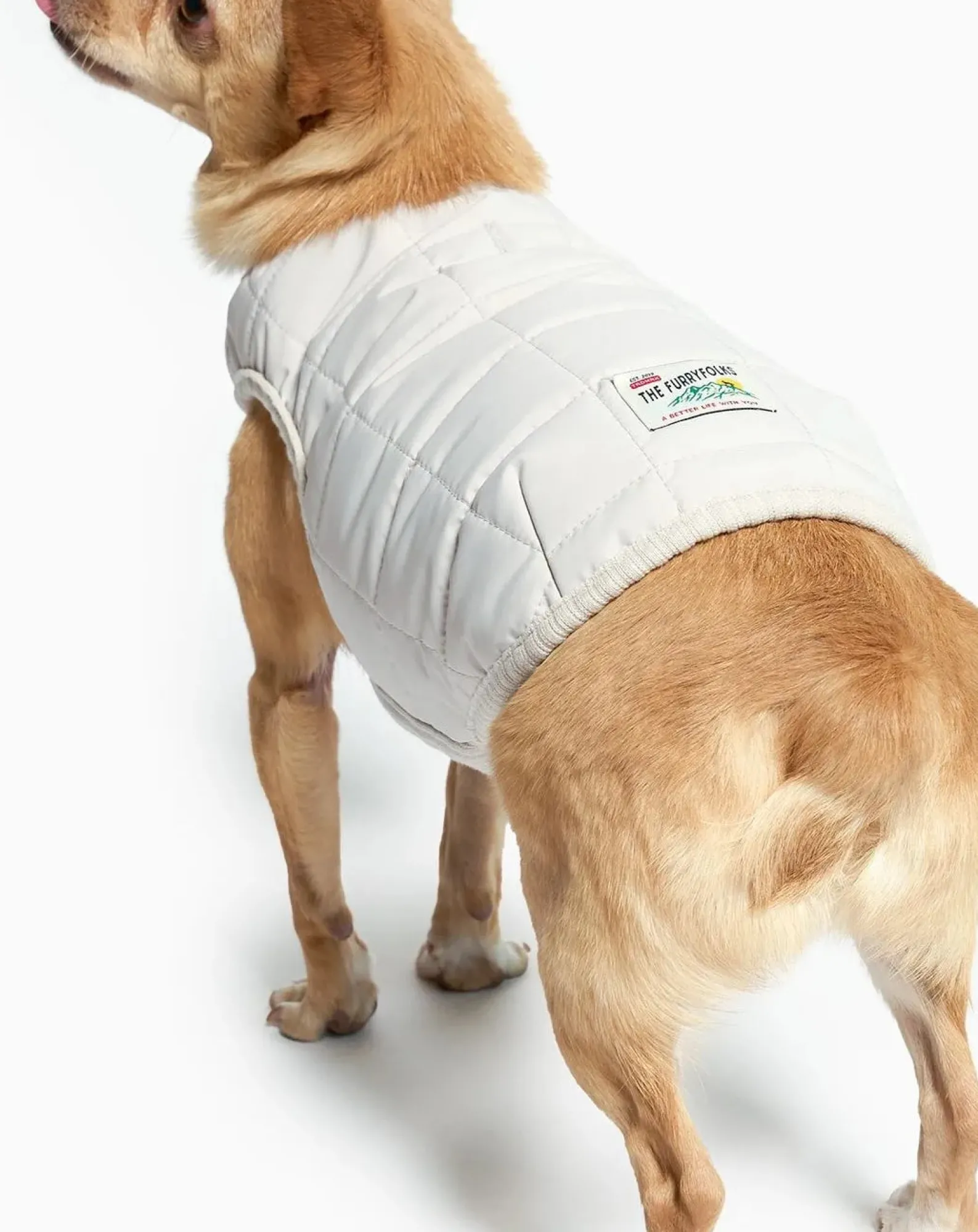 The Furry Folks Accessoires Animaux-Reversible down jacket Gris