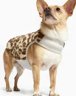 The Furry Folks Accessoires Animaux-Reversible down jacket Gris