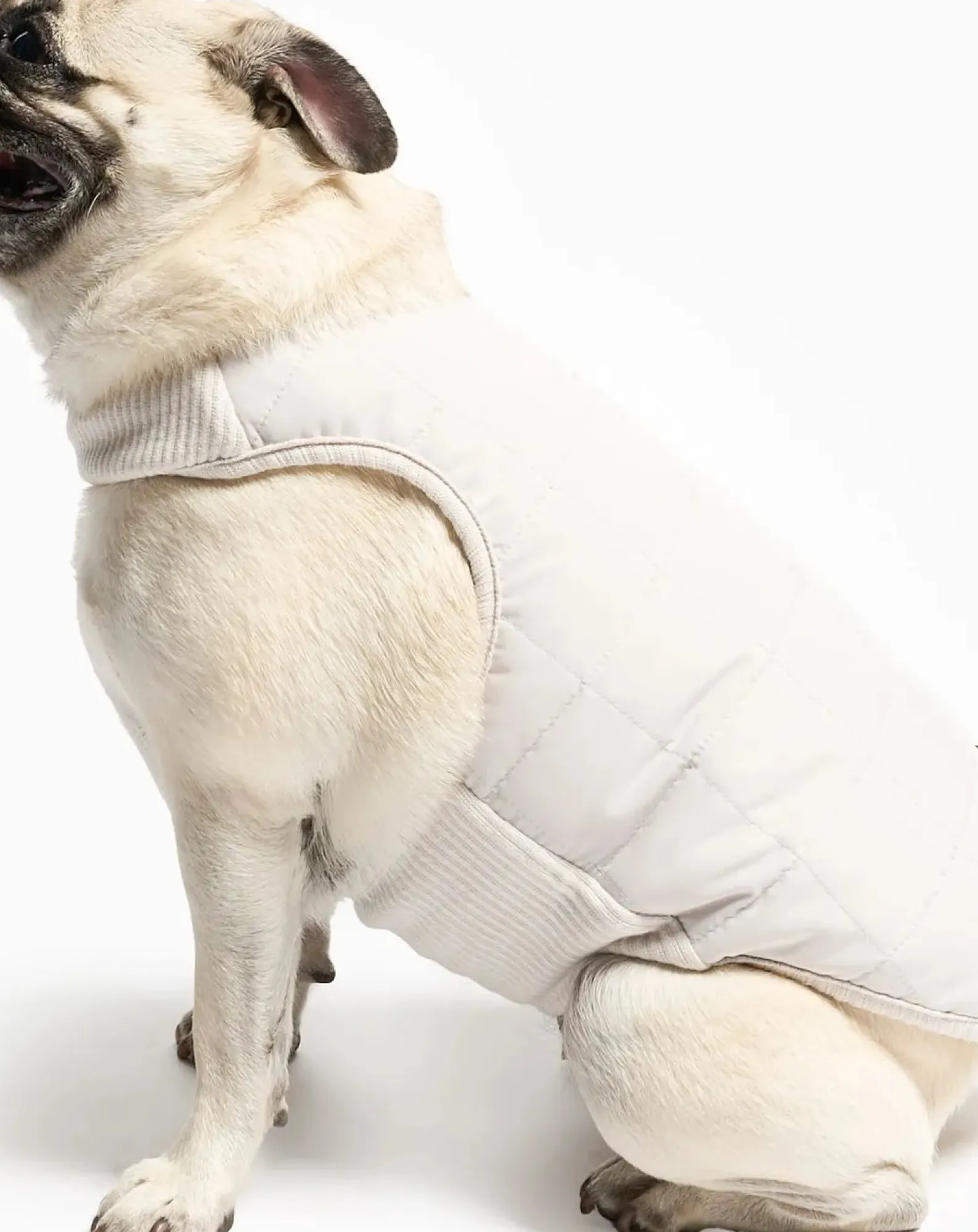 The Furry Folks Accessoires Animaux-Reversible down jacket Gris