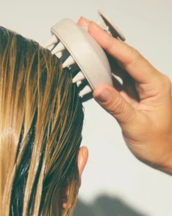 Holidermie Brosses, Peignes|Soins Des Cheveux-Scalp stimulating brush Non teinté