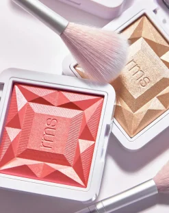 RMS Beauty Maquillage-Skin2Skin fan brush Non teinté