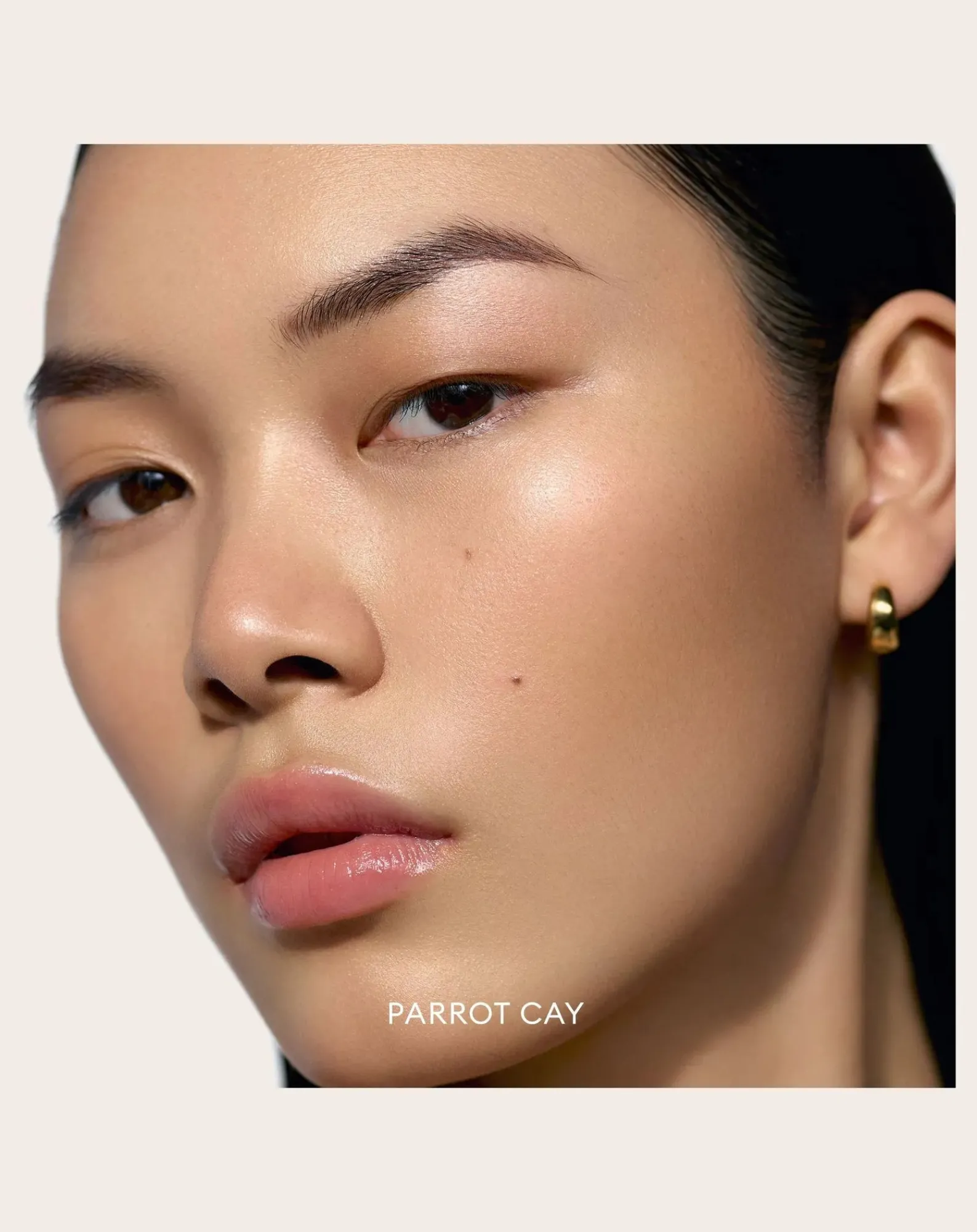 Rose Inc Maquillage-Solar Infusion soft-focus bronzer Parrot Cay