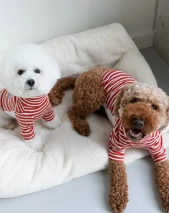 The Furry Folks Accessoires Animaux-Striped sweater Rouge