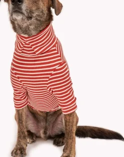The Furry Folks Accessoires Animaux-Striped sweater Rouge