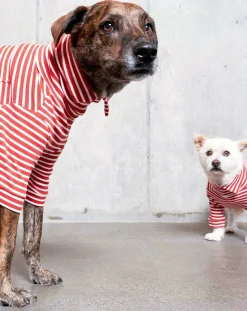The Furry Folks Accessoires Animaux-Striped sweater Rouge