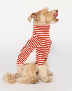 The Furry Folks Accessoires Animaux-Striped sweater Rouge