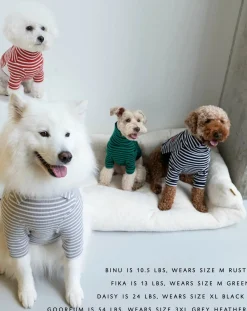 The Furry Folks Accessoires Animaux-Striped sweater Rouge