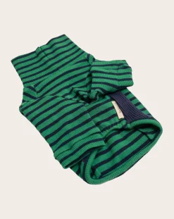 The Furry Folks Accessoires Animaux-Striped sweater Vert