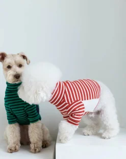 The Furry Folks Accessoires Animaux-Striped sweater Vert