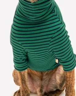 The Furry Folks Accessoires Animaux-Striped sweater Vert