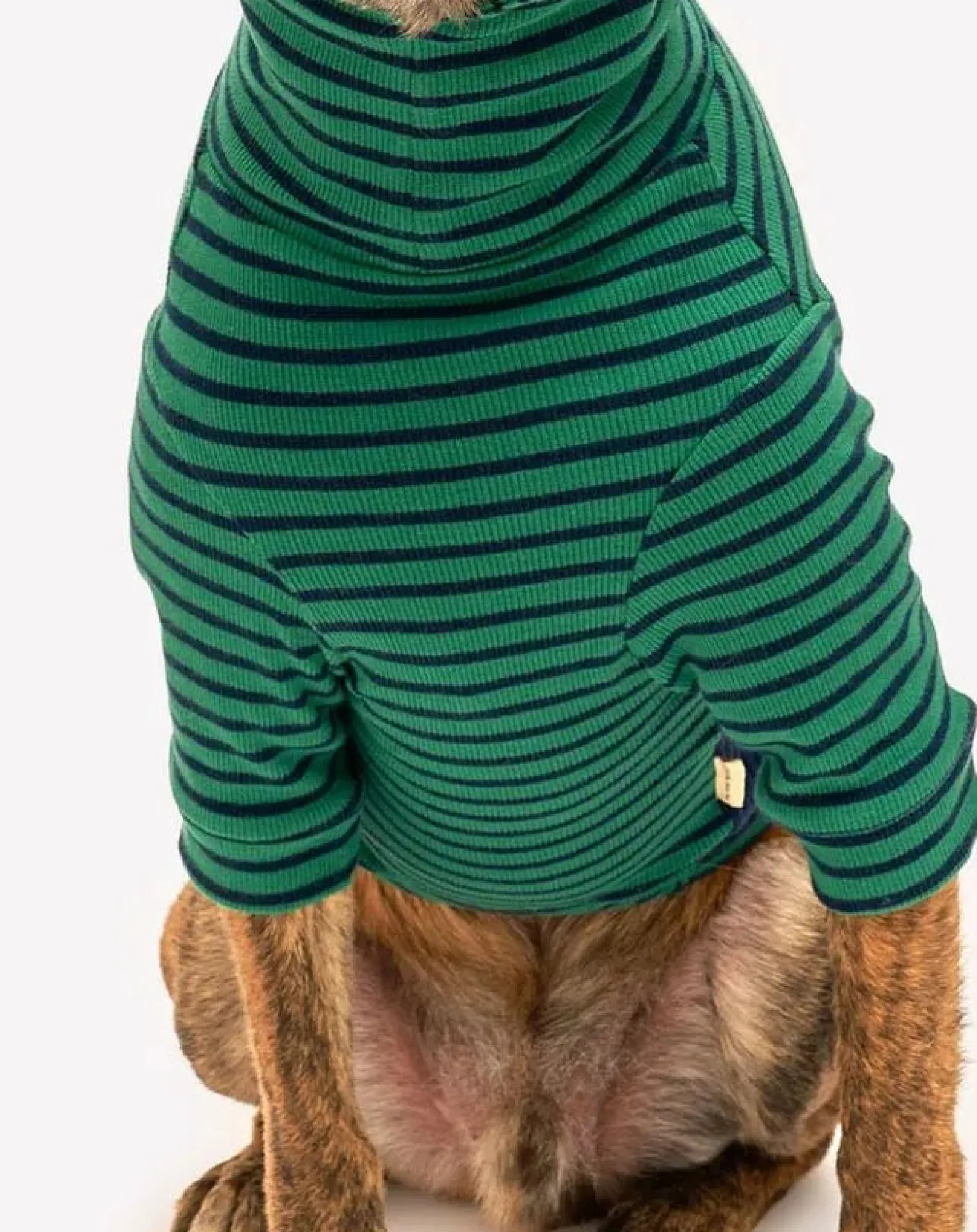 The Furry Folks Accessoires Animaux-Striped sweater Vert