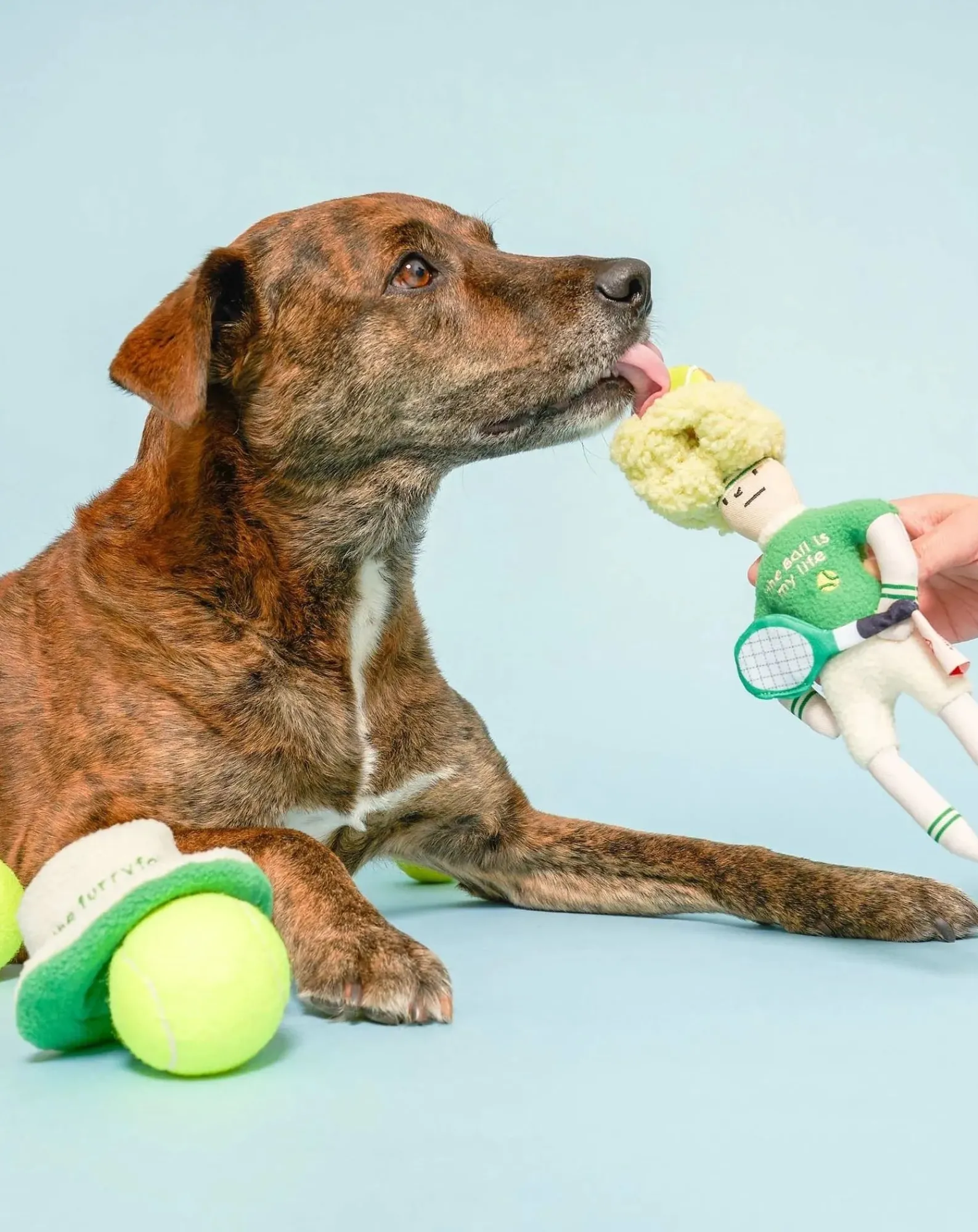 The Furry Folks Accessoires Animaux-Tennis Hooman digging toy Vert