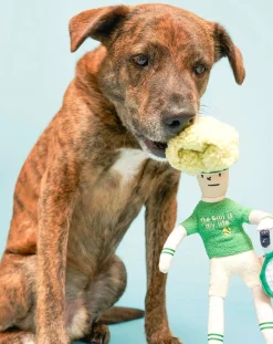 The Furry Folks Accessoires Animaux-Tennis Hooman digging toy Vert