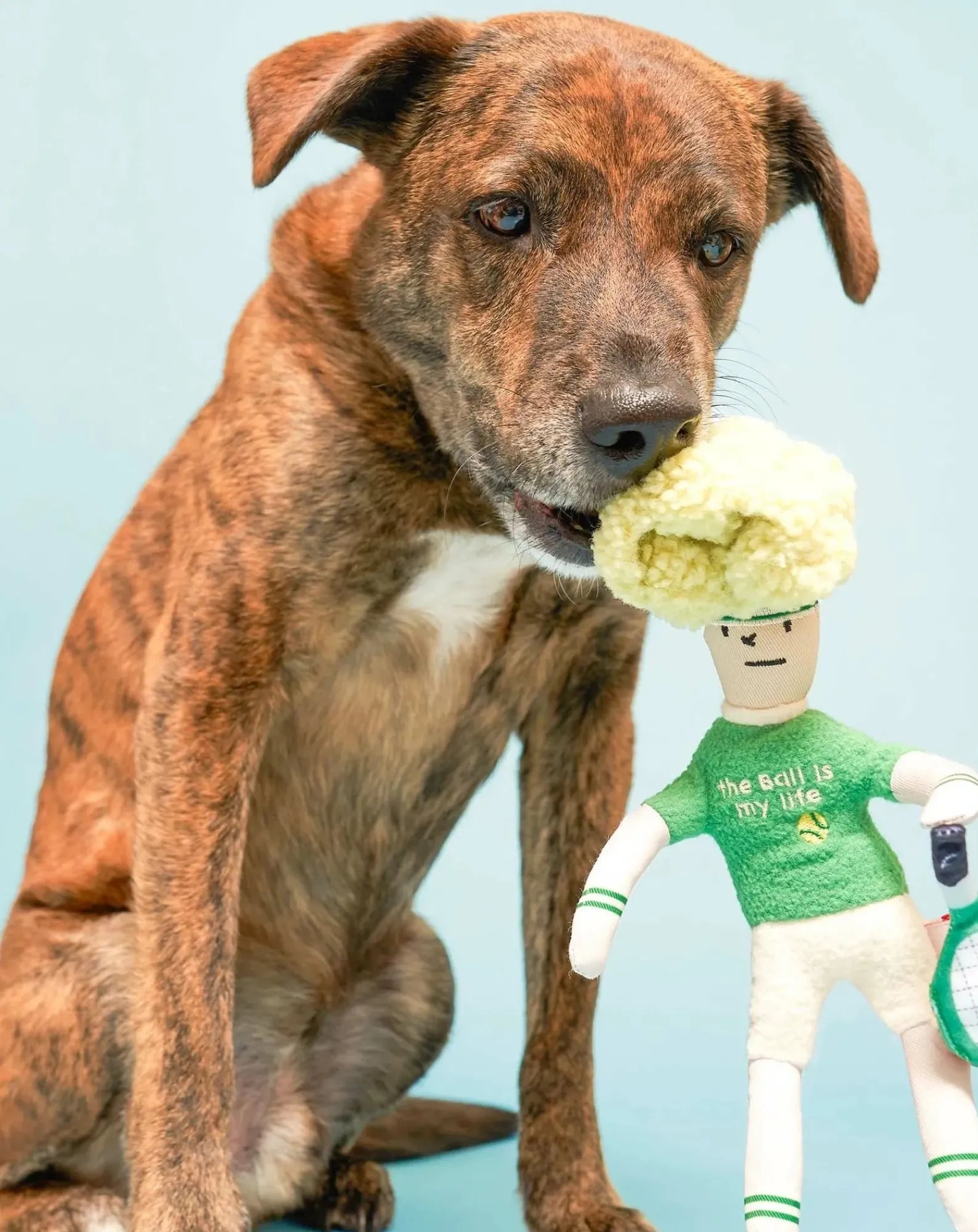 The Furry Folks Accessoires Animaux-Tennis Hooman digging toy Vert