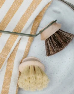 Andrée Jardin Nettoyage, Entretien-Tête brosse medium pour Manche Super vaisselle Naturel