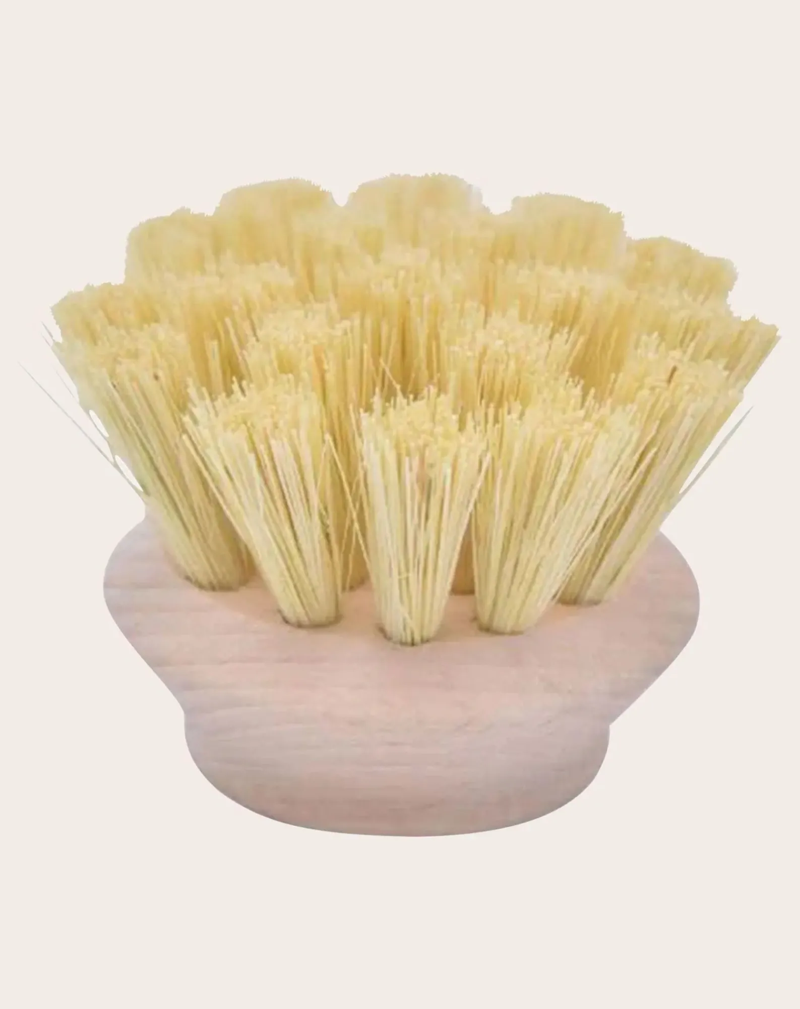 Andrée Jardin Nettoyage, Entretien-Tête brosse medium pour Manche Super vaisselle Naturel