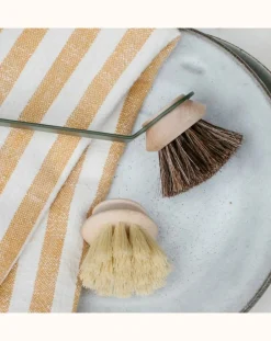 Andrée Jardin Nettoyage, Entretien-Tête brosse souple pour Manche Super vaisselle Naturel