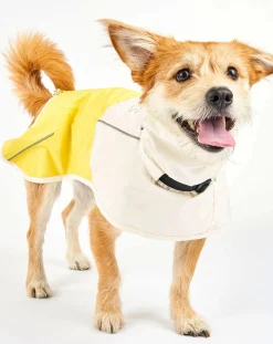 The Furry Folks Accessoires Animaux-Venture rain coat Jaune