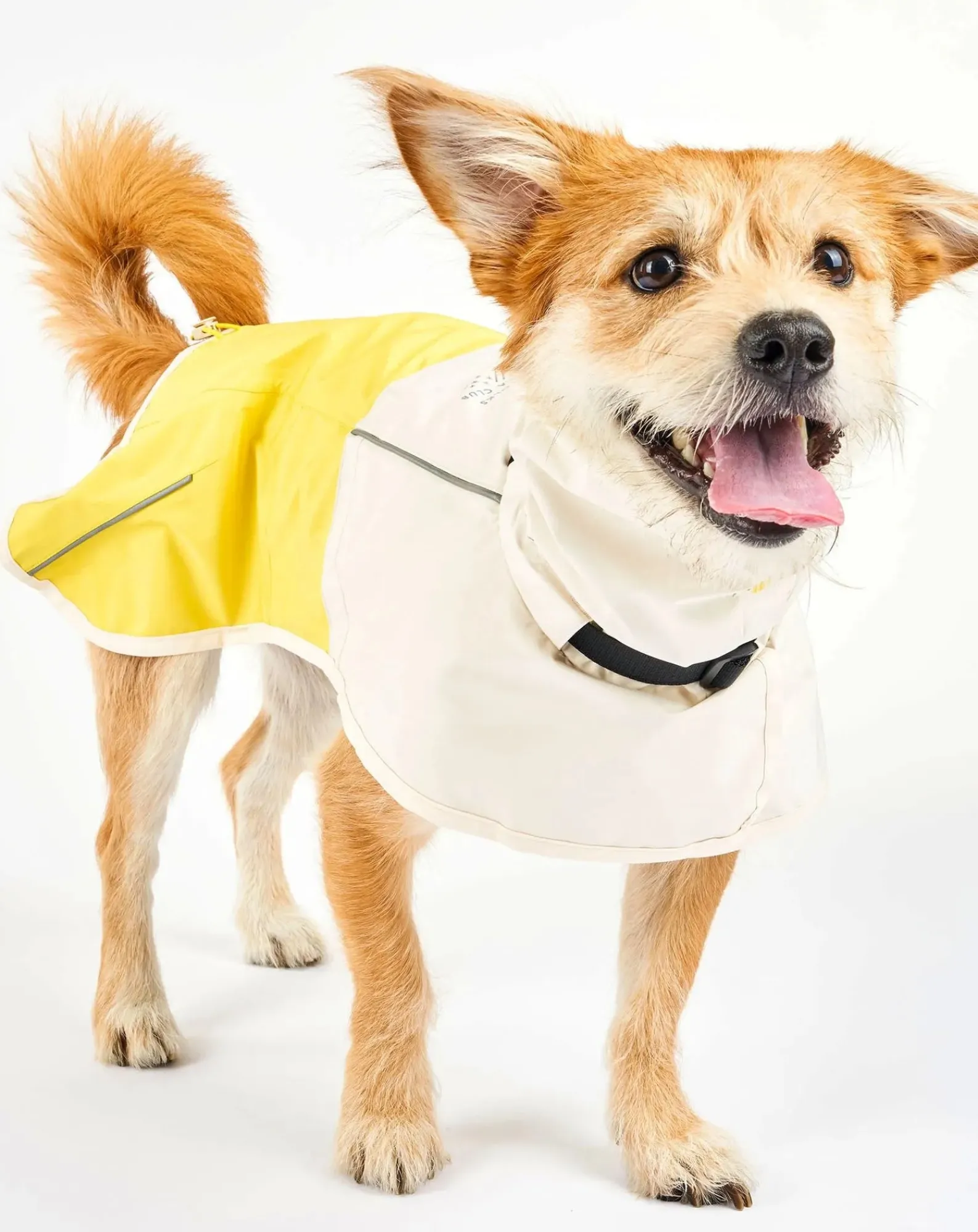 The Furry Folks Accessoires Animaux-Venture rain coat Jaune