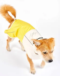 The Furry Folks Accessoires Animaux-Venture rain coat Jaune