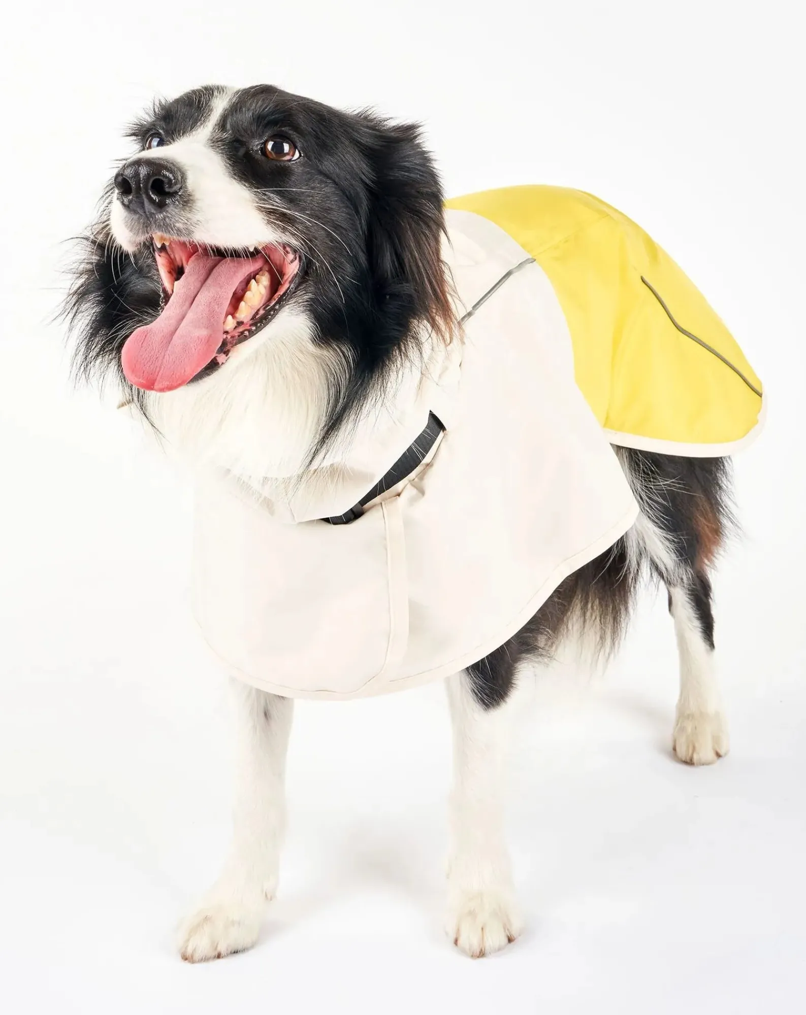 The Furry Folks Accessoires Animaux-Venture rain coat Jaune