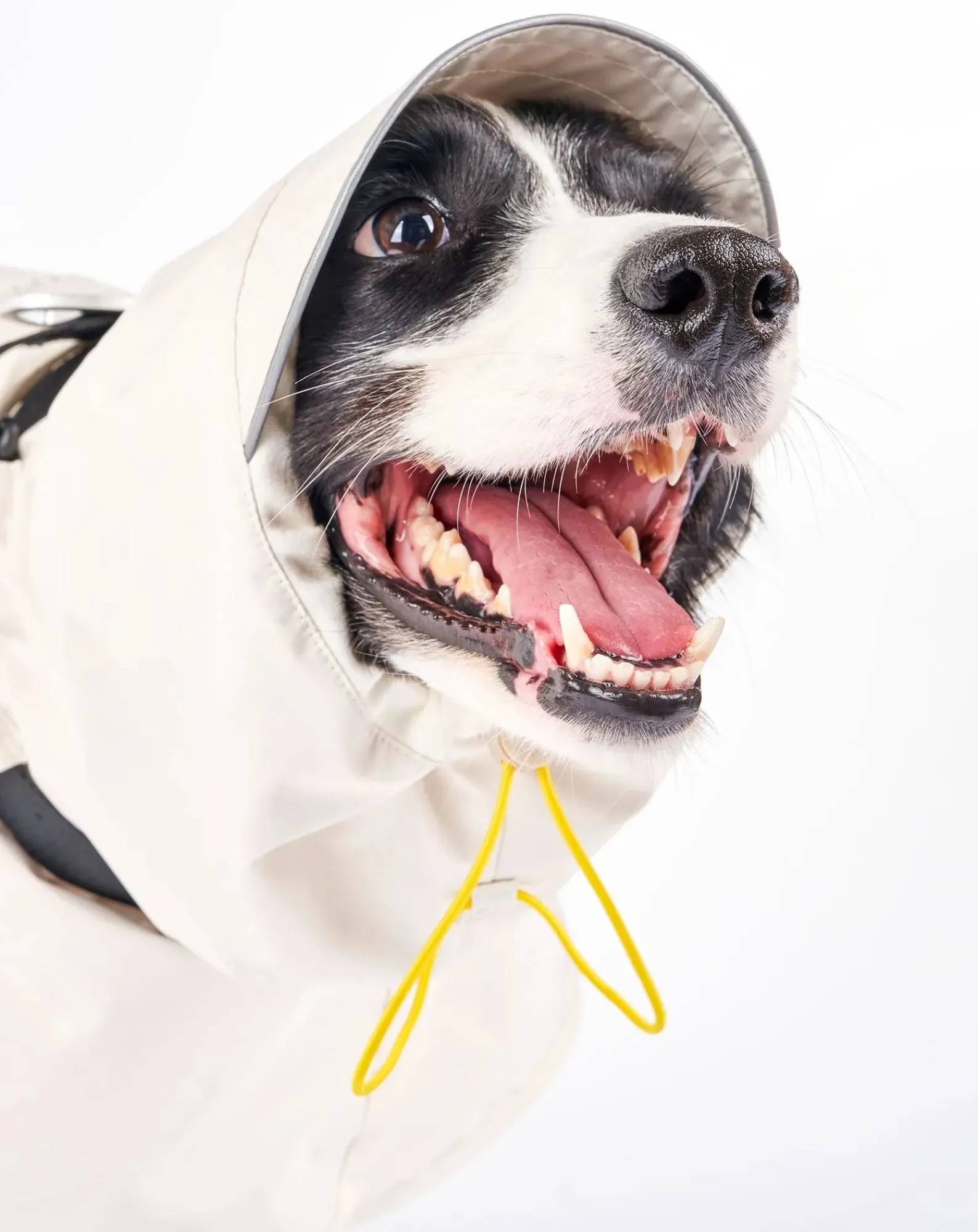 The Furry Folks Accessoires Animaux-Venture rain coat Jaune