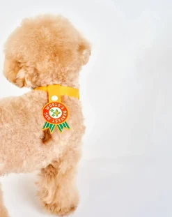 The Furry Folks Accessoires Animaux-World's Okayest Dog Medal Rouge