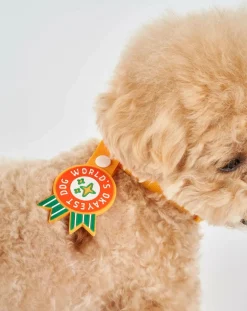 The Furry Folks Accessoires Animaux-World's Okayest Dog Medal Rouge